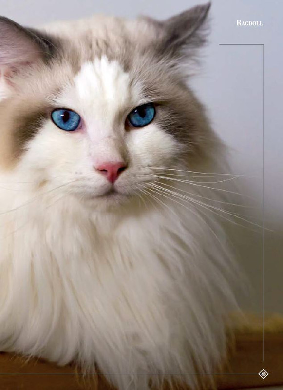 Argos Ott-Nov 2023 (4)