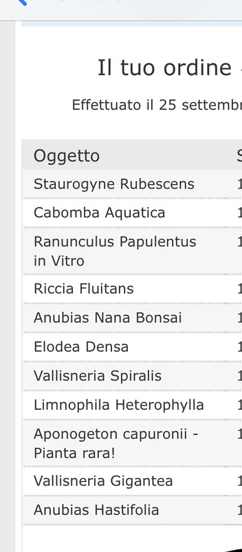 DD59B504-FC9F-402E-8F27-2CCB2446E1ED