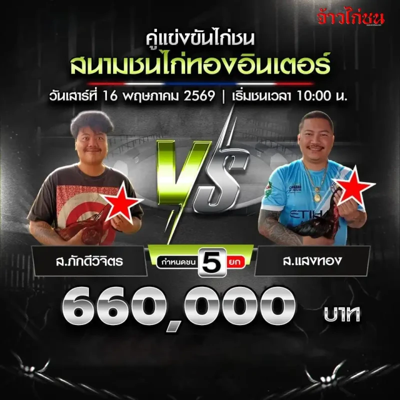 ส.ภักดีวิจิตร vs ส.แสงทอง โปรแกรมไก่ชน สนามชนไก่ทองอินเตอร์ 16 พฤษภาคม 2569