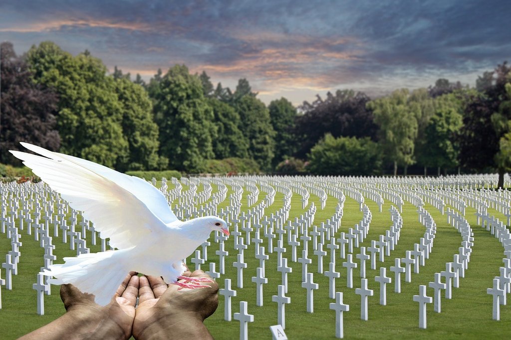 white-peace-dove.jpg