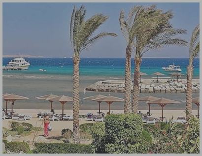 Египет ноябрь 2023. Египет хургада температура. Сезонность фруктов в египте. Фрукты в египте в марте. Шезму в египте.