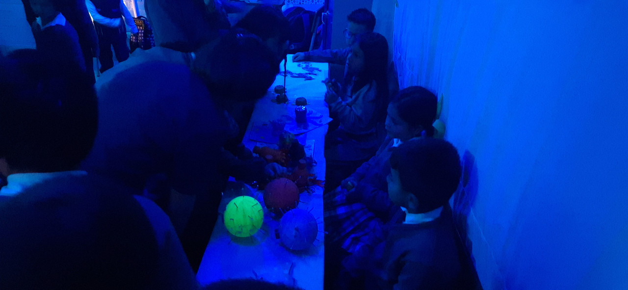 1 Bienal Colombiana (31)