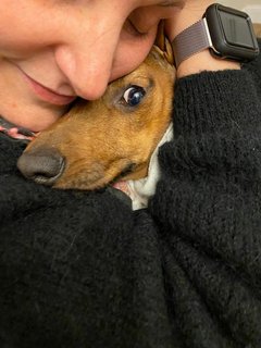 [Image: A086-EF6-D-E0-FD-4-B32-8-B13-7-B93411-CC6-B3.jpg]