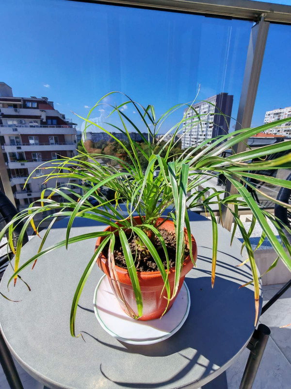 viber_изображение_2024-10-07_12-14-21-318