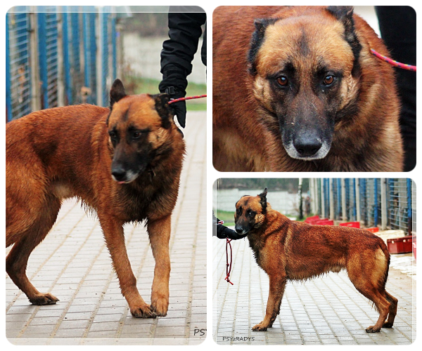 BeFunky-collage (16)