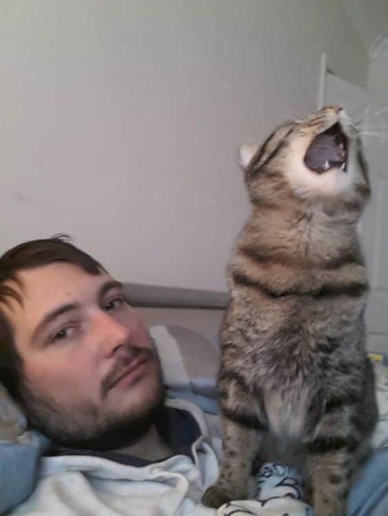 338220897f38eda5757520baf95645b2