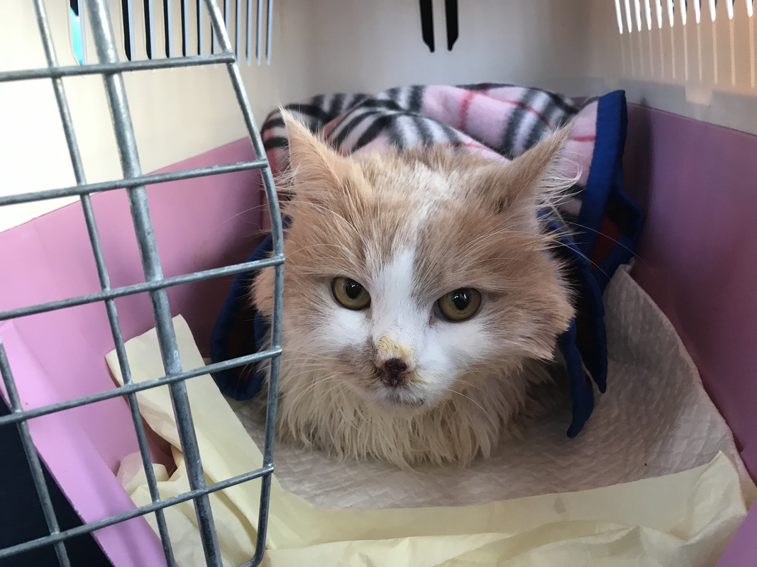 1F69F335-C1F0-4B32-AC51-008CCF3900A9