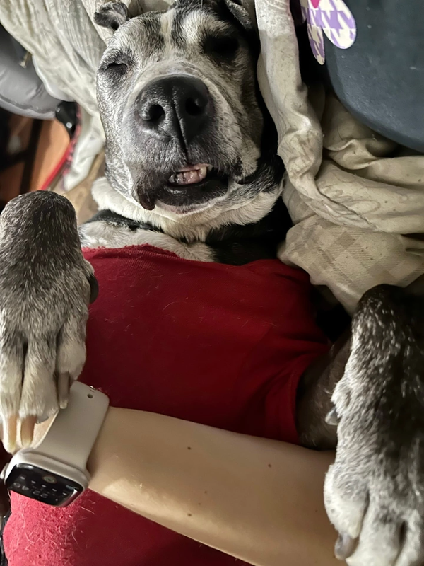 697728F1-B02B-4D7E-9022-45ED2E730560