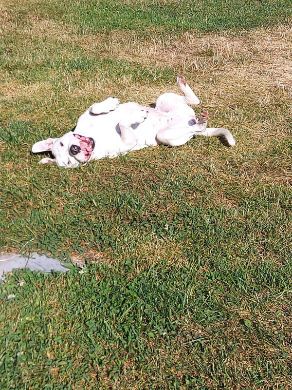 6A73F18F-6285-4FC3-8321-7B356653A4B6