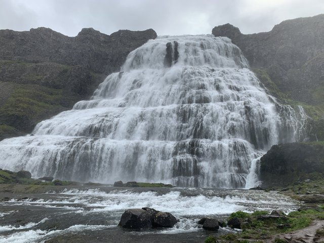 DIA 11 JULIO/22 DESTINO LATRABJARG A VER FRAILECILLOS - Islandia, 17 días..."sin sus noches" Julio 2022 (4)