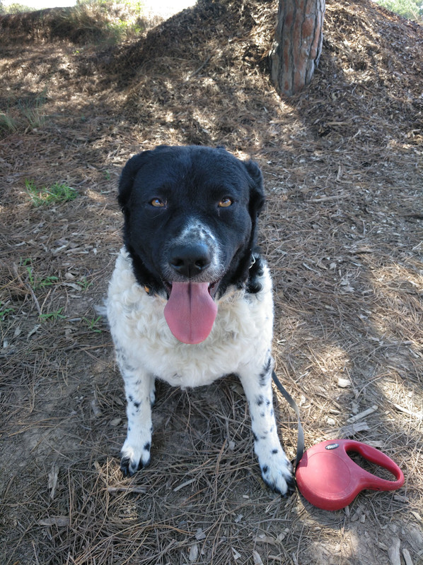 2610F4EB-6744-42F9-9FEC-110AFC49524A