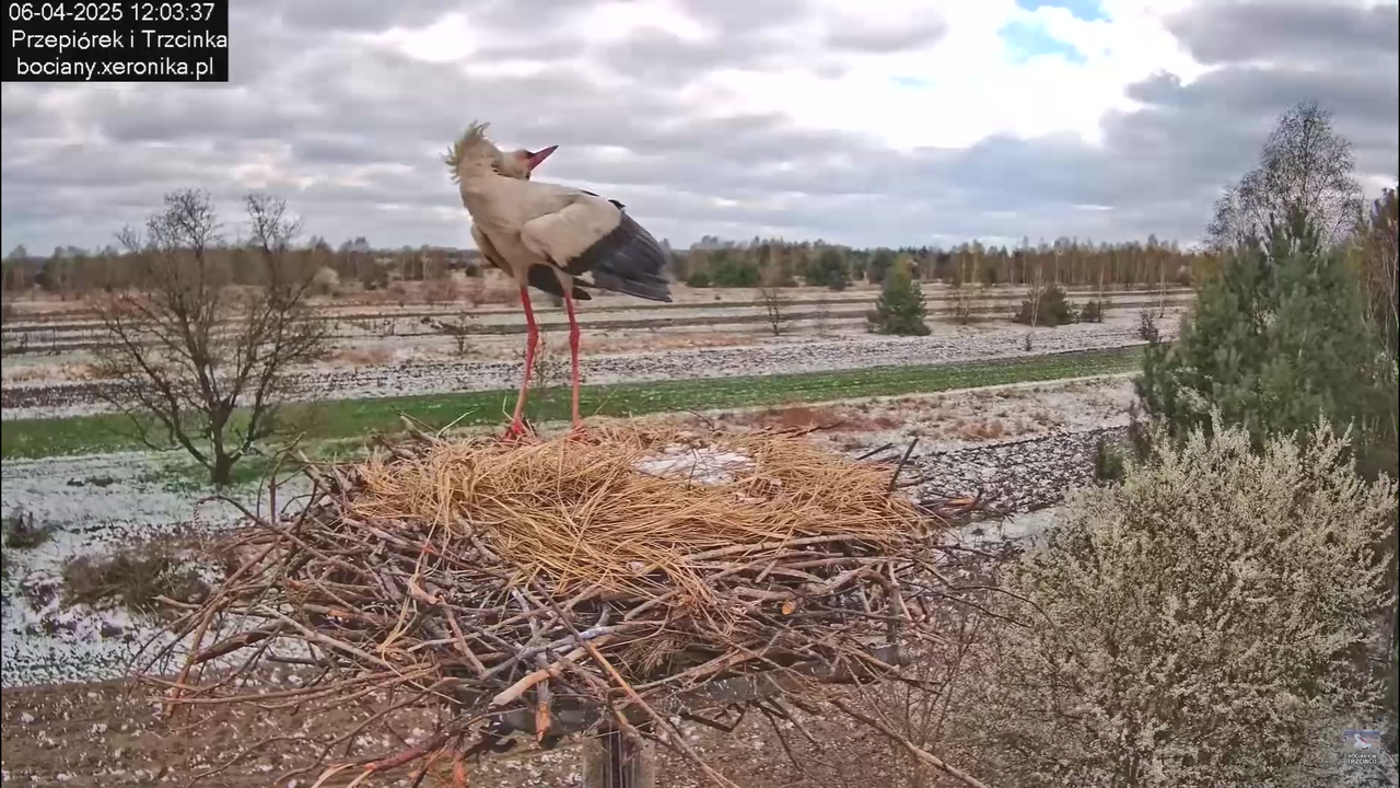 06042025minutazbocianem_9