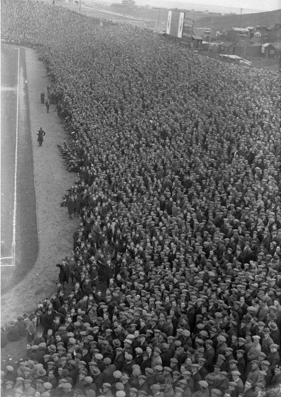 CRowd-1935.jpg