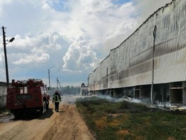 В полиции назвали причину пожара на птицефабрике Овостар