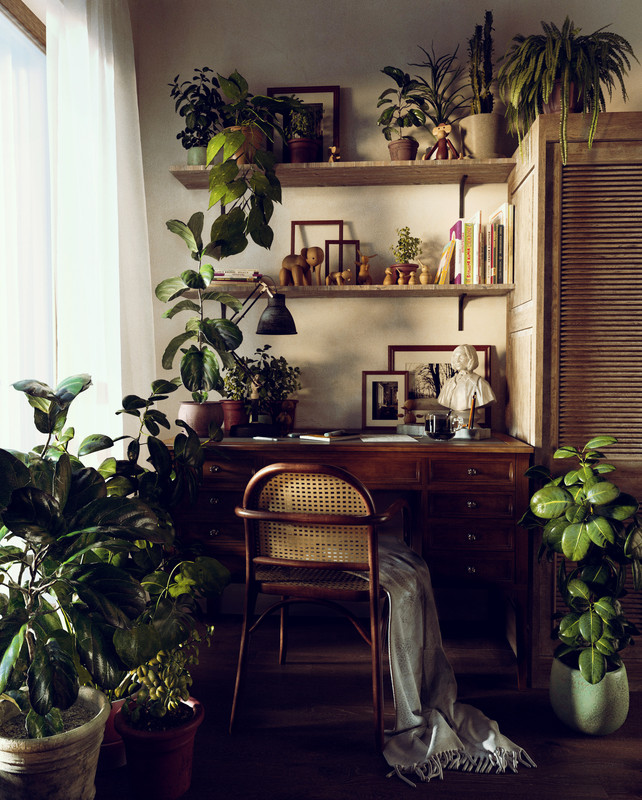 Без-имени-1чсмчсм