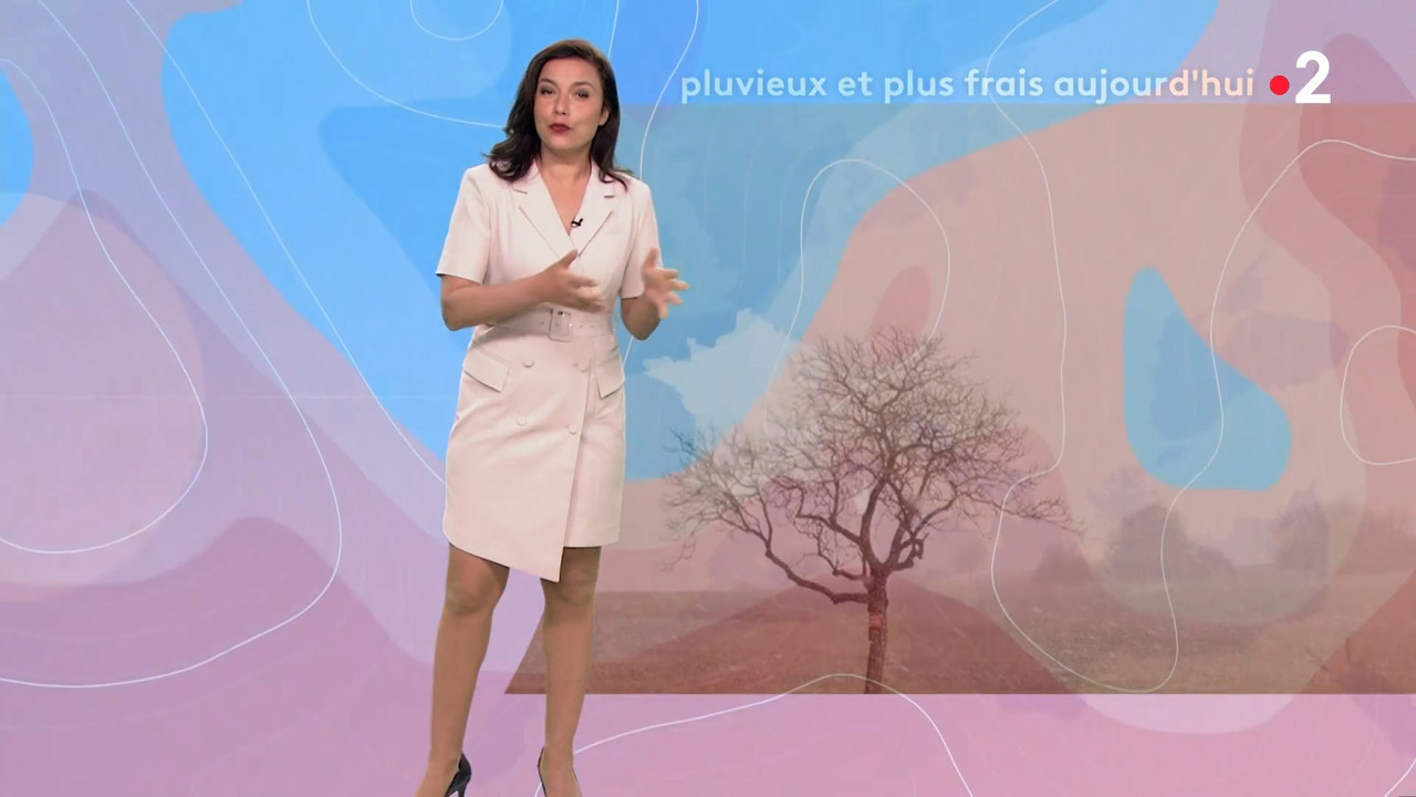 2021-04-11_12_55_Fr2_Meteo.mp4_snapshot_07.12.704