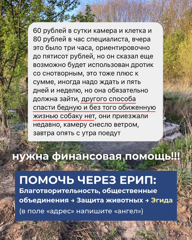 карусель постов