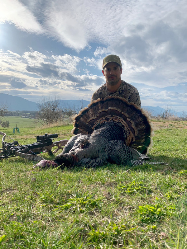 77C57954-93FC-47D5-91A1-1A584DD56781