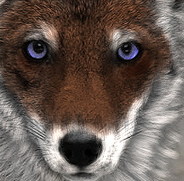 Char Avatar