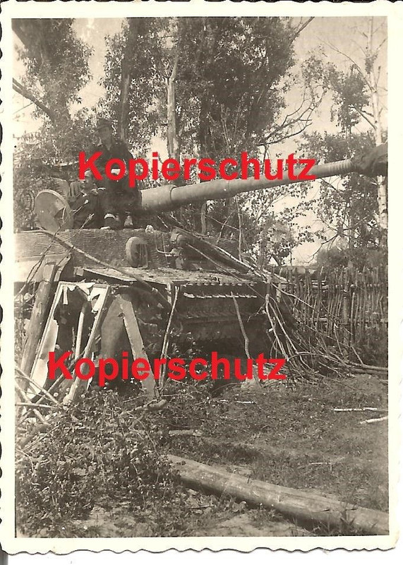 Tiger Panzer Abteilung 501 Turmnummer 30 Rußland bei Orscha 1944