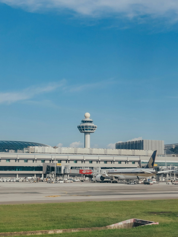 Best Airlines for Long-Haul Economy Flights: Americas to Europe & Asia