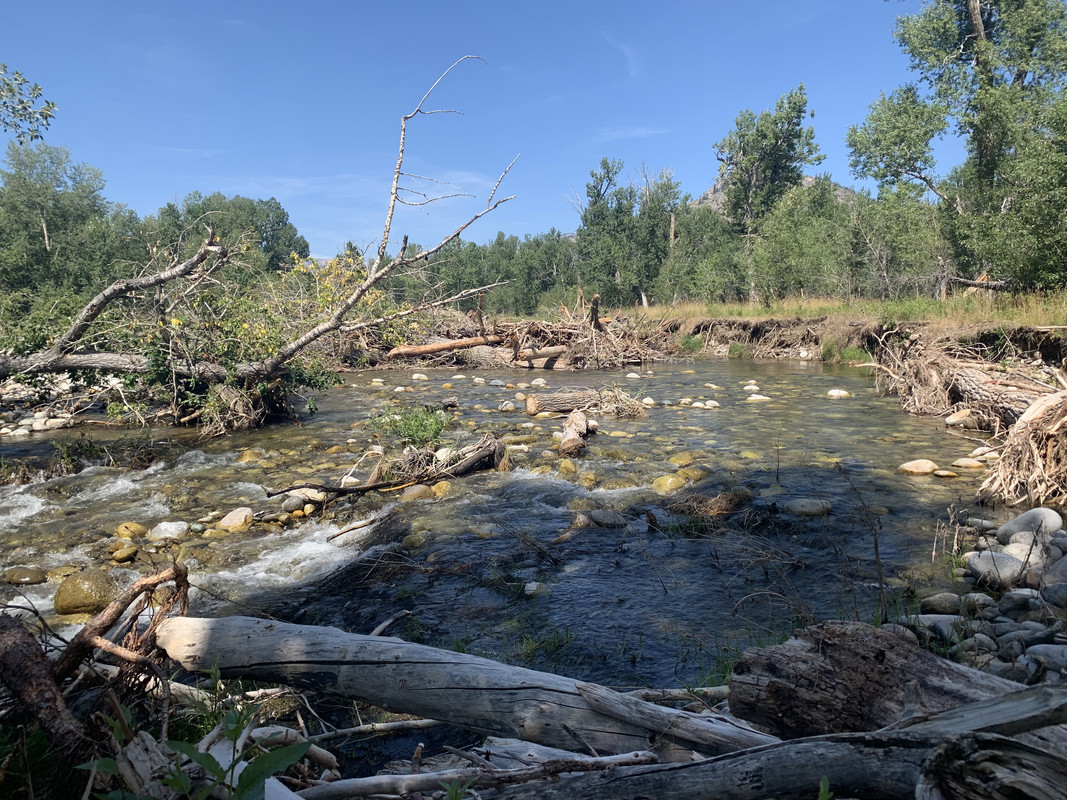 3A36704F-EB26-4F1A-92DE-4643E618D010