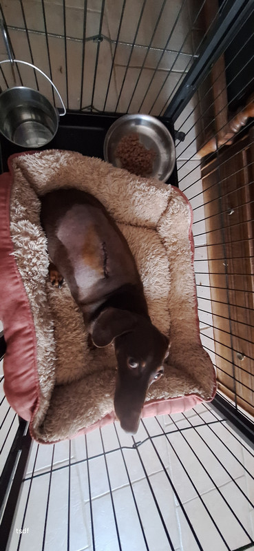 [Image: 20250817-082453.jpg]