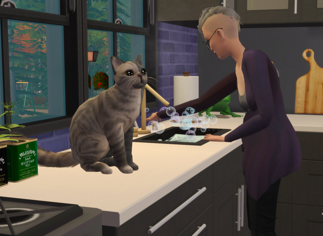 Sims2-EP9-RPC-2024-08-05-14-51-35-35