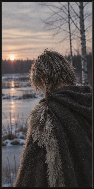 Immagine di Senja
