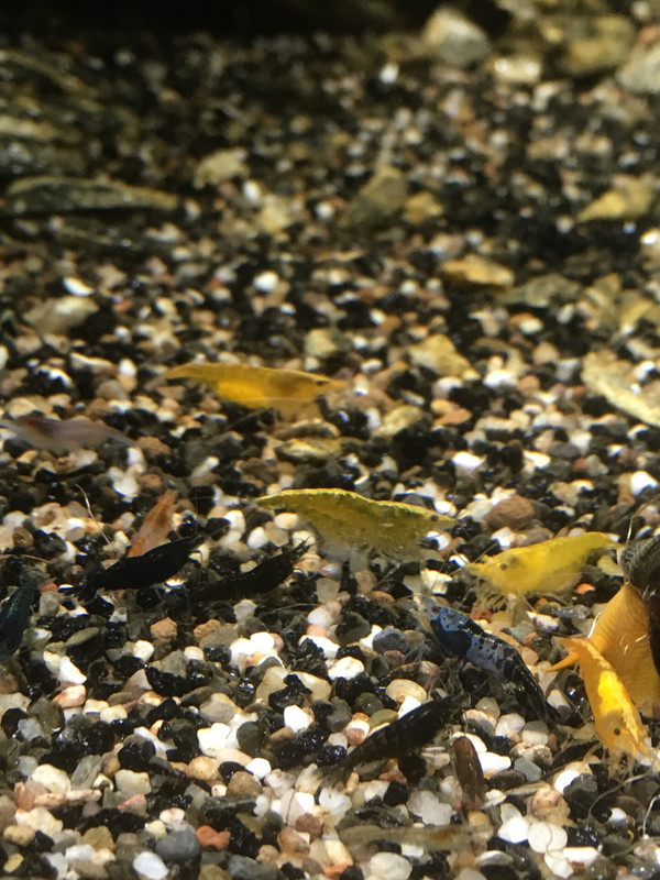 0B48885E-A4E9-486A-827C-A9BF7B689777