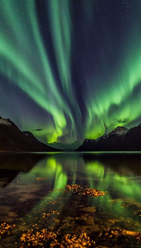 greenauroraborealis.jpg