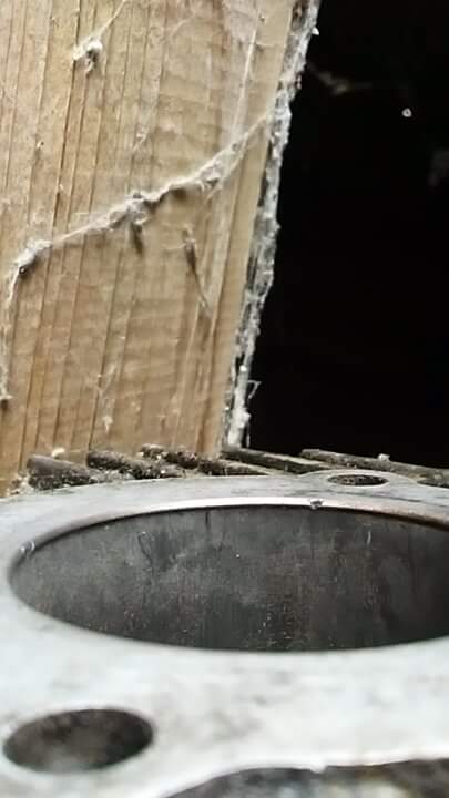 received_1976545289231145