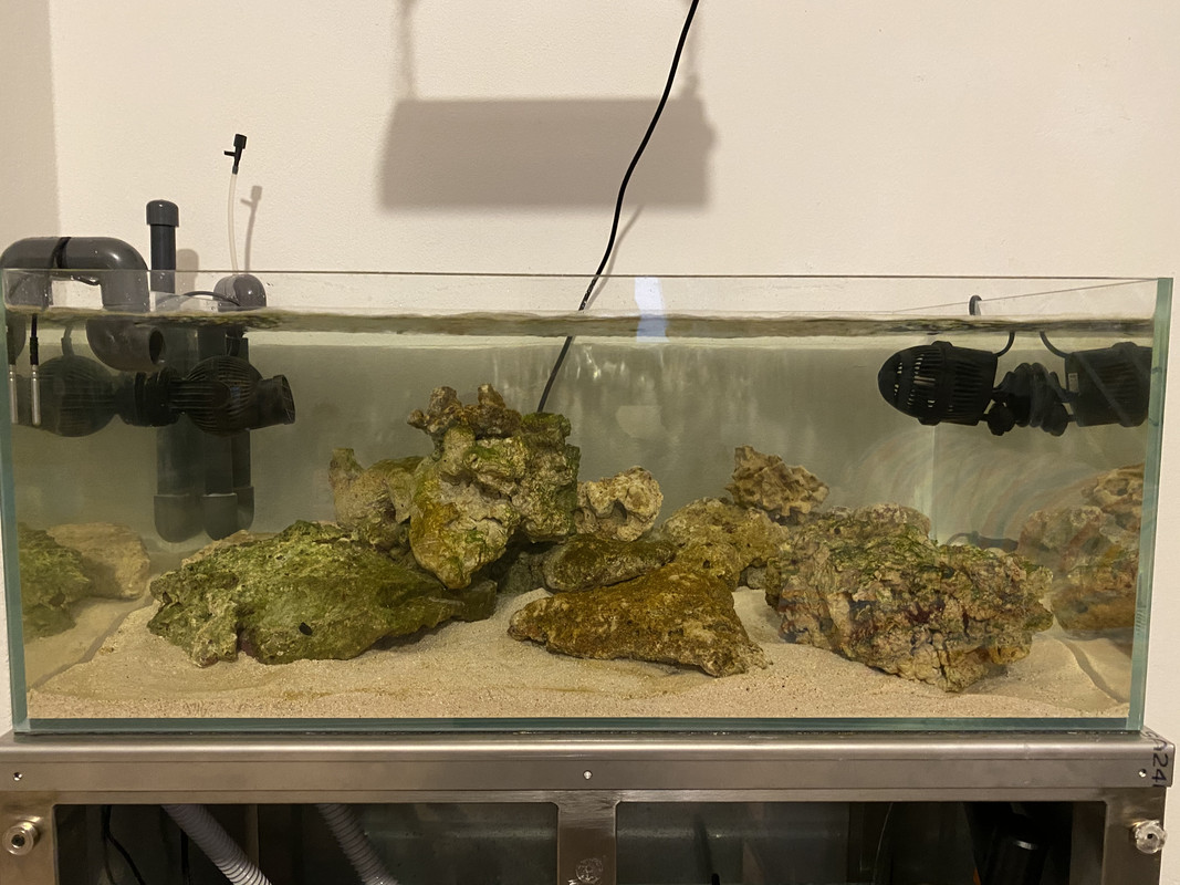 1CD74A66-ACF8-455E-ADF6-FAC42543F1E8