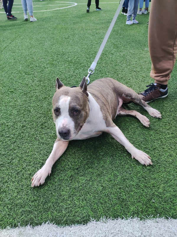 5A4A190E-2B28-423F-B341-4ED97023F191