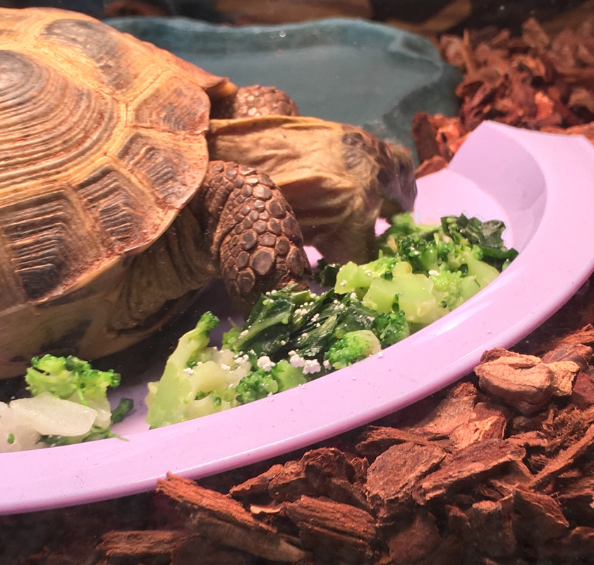 B7414D10-E366-469B-9D13-F5CF33047255