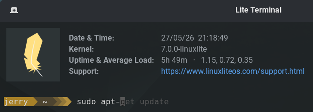 [Image: lite-term-2.png]