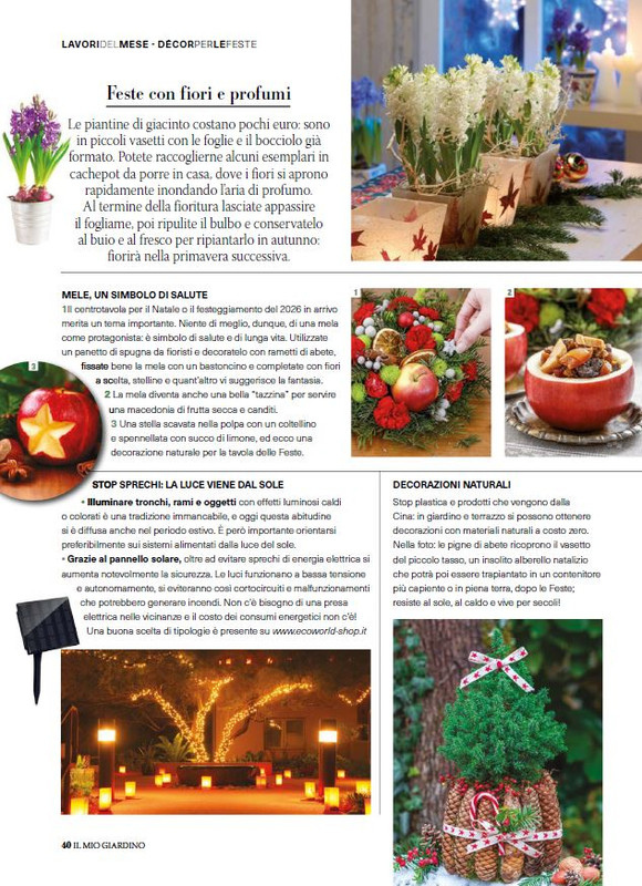 Il Mio Giar Dic 2025 Gen 2026 (9)