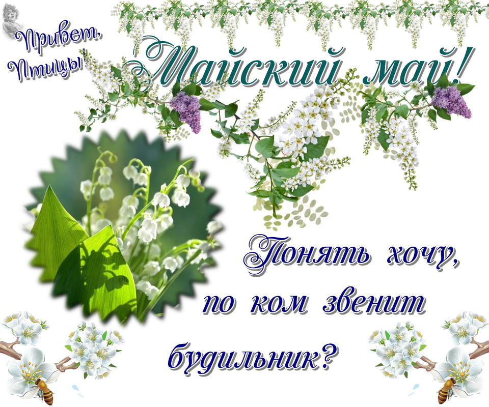 https://i.postimg.cc/7Zt8qJ3x/15-05.png