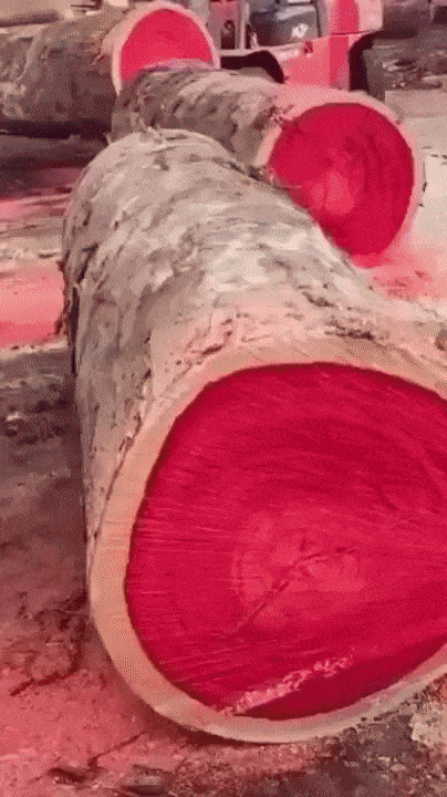 https://i.postimg.cc/7ZtKYWfF/4.gif