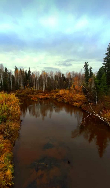 Screenshot_20220928_110517_com.whatsapp~2