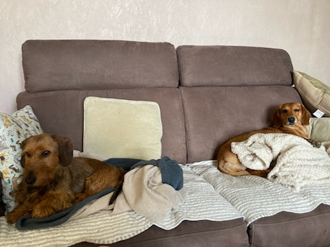 [Image: IMG-6670.jpg]