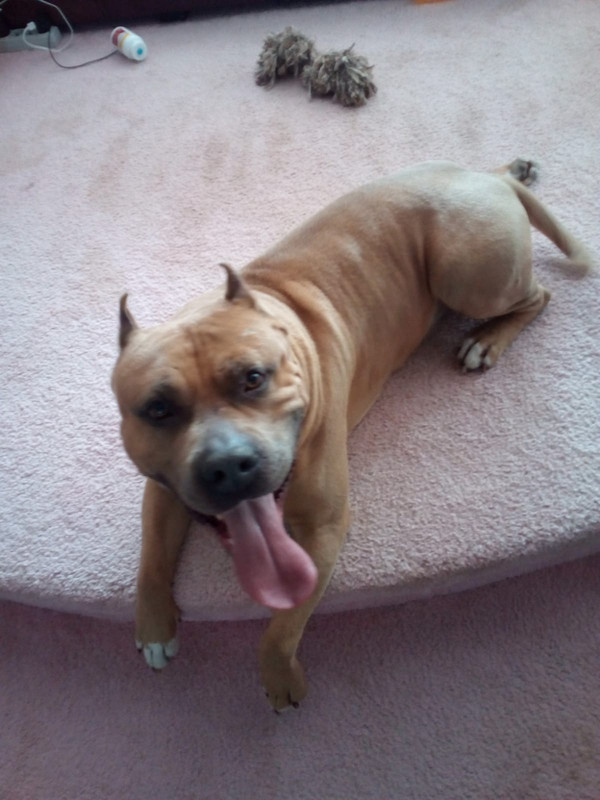 2593FD39-6652-4BE4-992B-6BD797A0A420