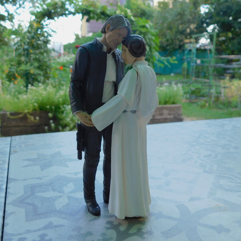 Дачно-Харлинский июнь-июль 2024 255