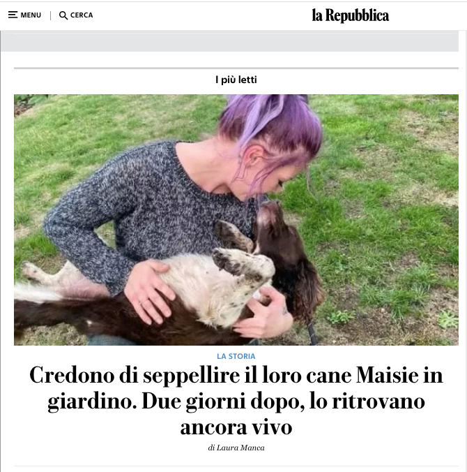 Schermata-2022-11-16-alle-14-51-19.png