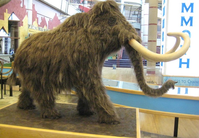Ilustrasi baby mammoth.