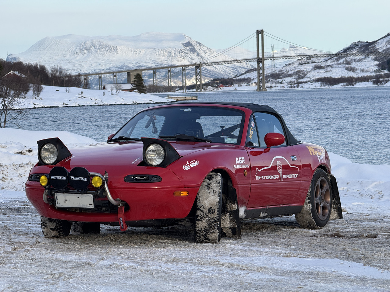 [Immagine: IMG-8508.jpg]