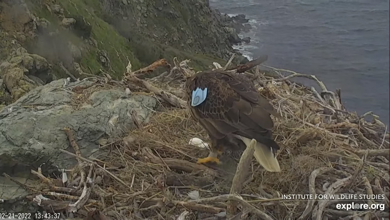 2D9A2417-41D1-4FDB-B262-C9E3385F19AF