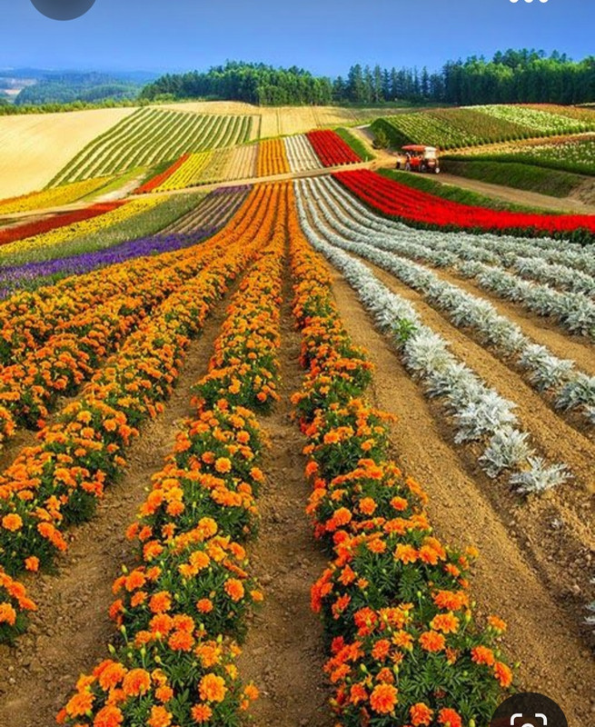 Screenshot_20231014_214915_Pinterest