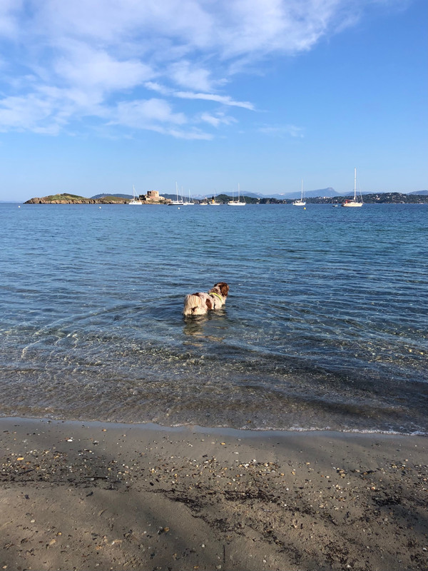 F975F8FD-711A-4D29-8C7D-A0479F01C661