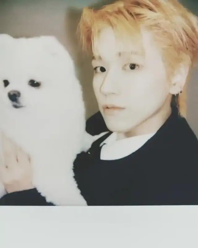 20250919_141425_copy_848x1060